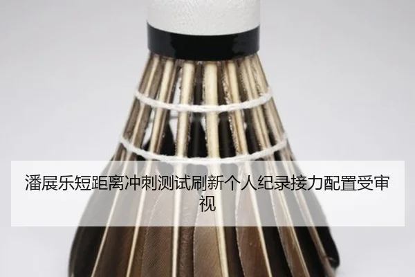 潘展乐短距离冲刺测试刷新个人纪录接力配置受审视